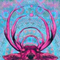 CryptoJack