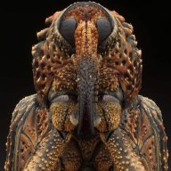 ahmedkhalil786