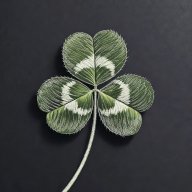 Luckyssn
