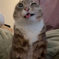 Mrtwix64
