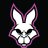 rabbitTeam